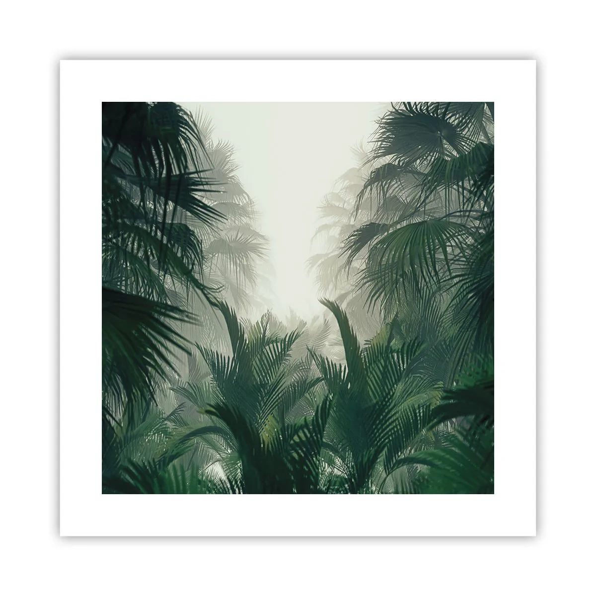 Póster - Misterio tropical - 40x40 cm