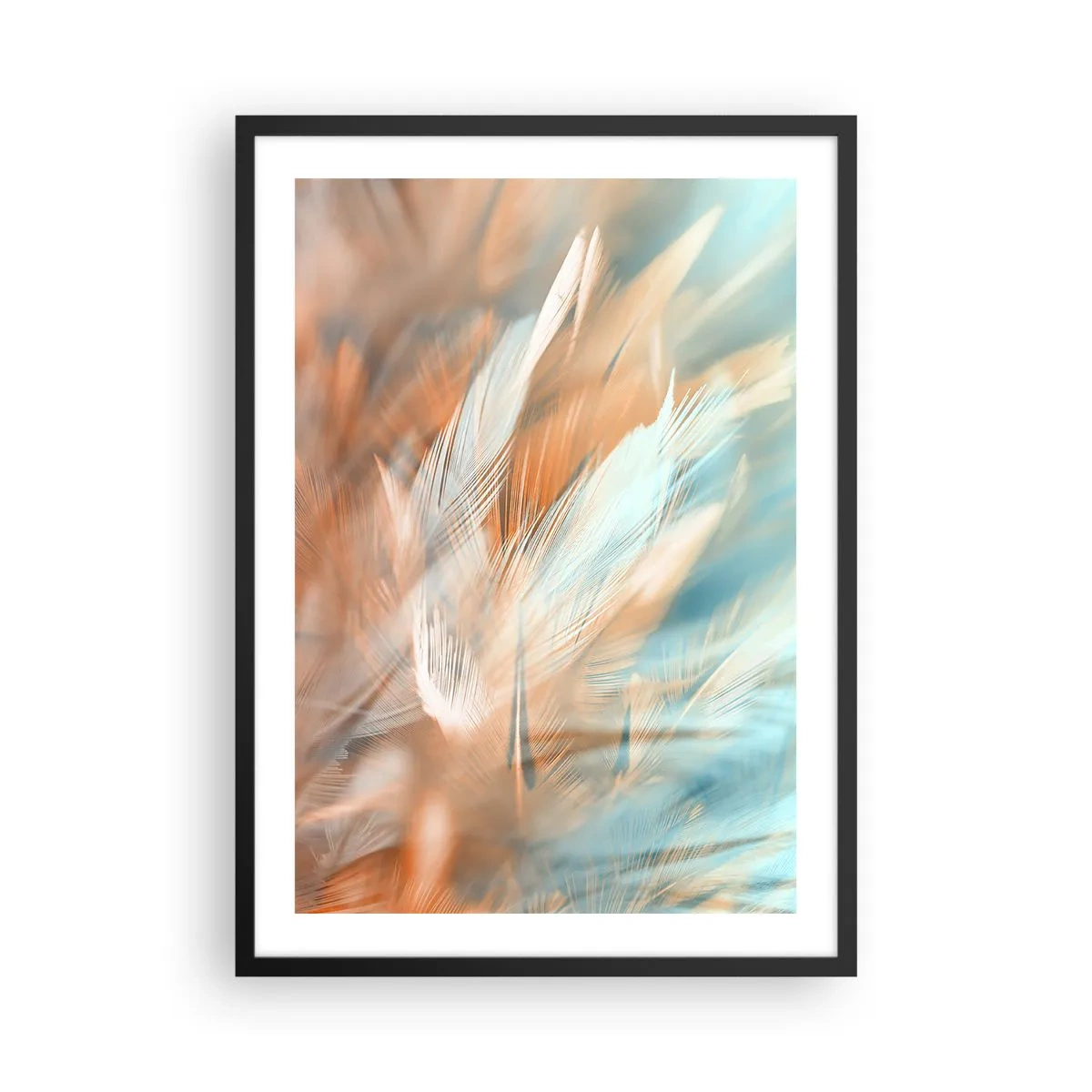 Póster en marco negro - Delicadas plumas en tonos azul y melocotón. - 50x70cm - En la tierra de la suavidad - Decoración de pared moderna para salón y dormitorio ARTTOR