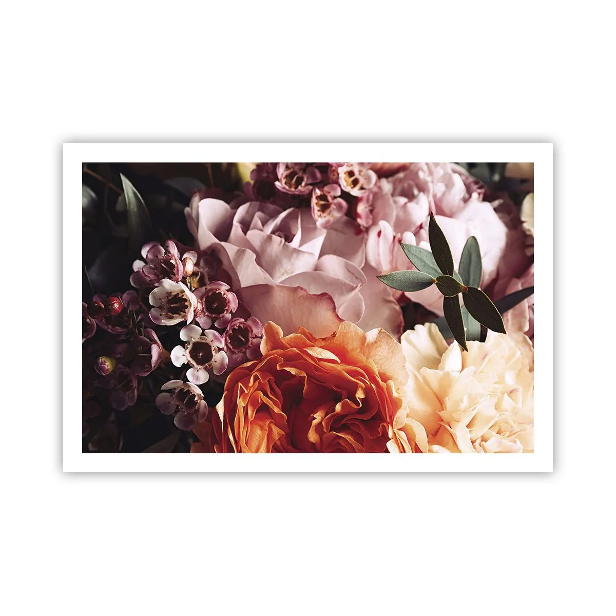 Póster - Belleza envolvente - 91x61 cm