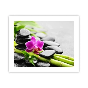 Póster - En equilibrio pacífico - 50x40 cm