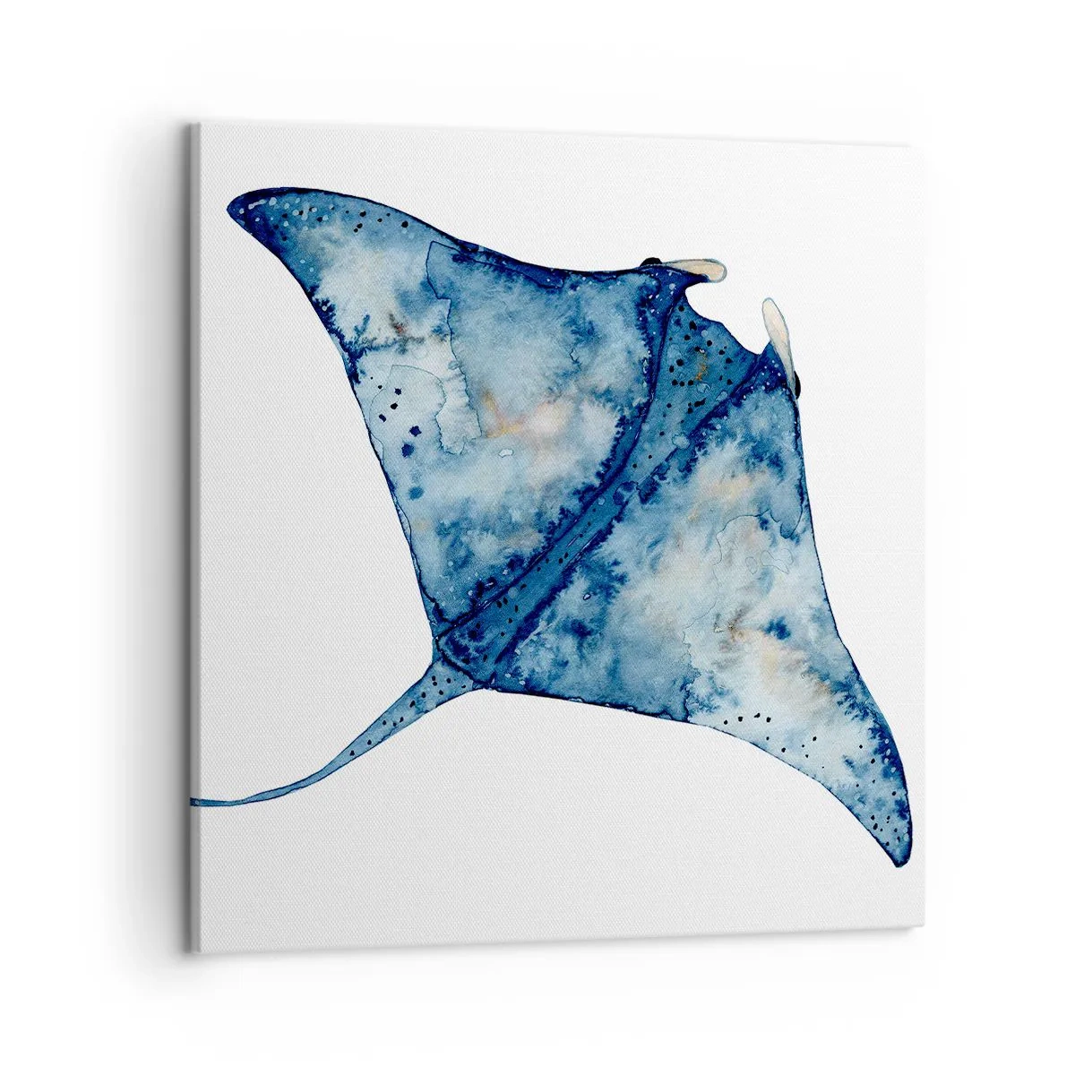 Cuadro sobre lienzo - Impresión de Imagen - La vida en azul - 50x50 cm