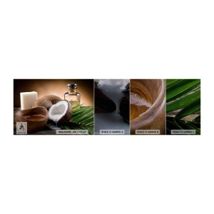 Muestra de fotomural Premium Sand - Salud de las islas tropicales - Coco, Spa, Aceite de coco - 100x30 cm