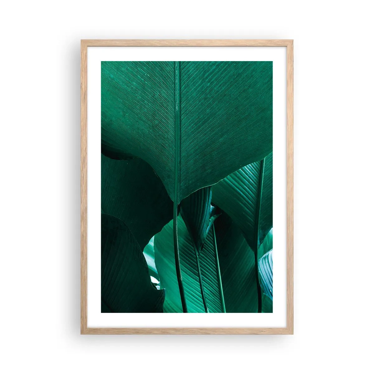 Póster en marco roble claro - De cara a la luz - 50x70 cm