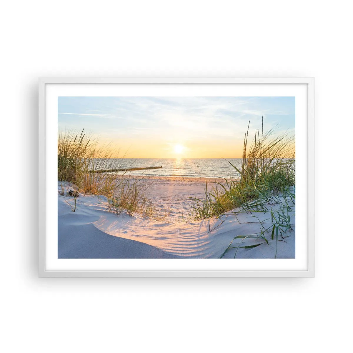 Póster en marco blanco - El sonido del mar, el canto de los pájaros, una playa virgen entre las dunas... - 70x50 cm