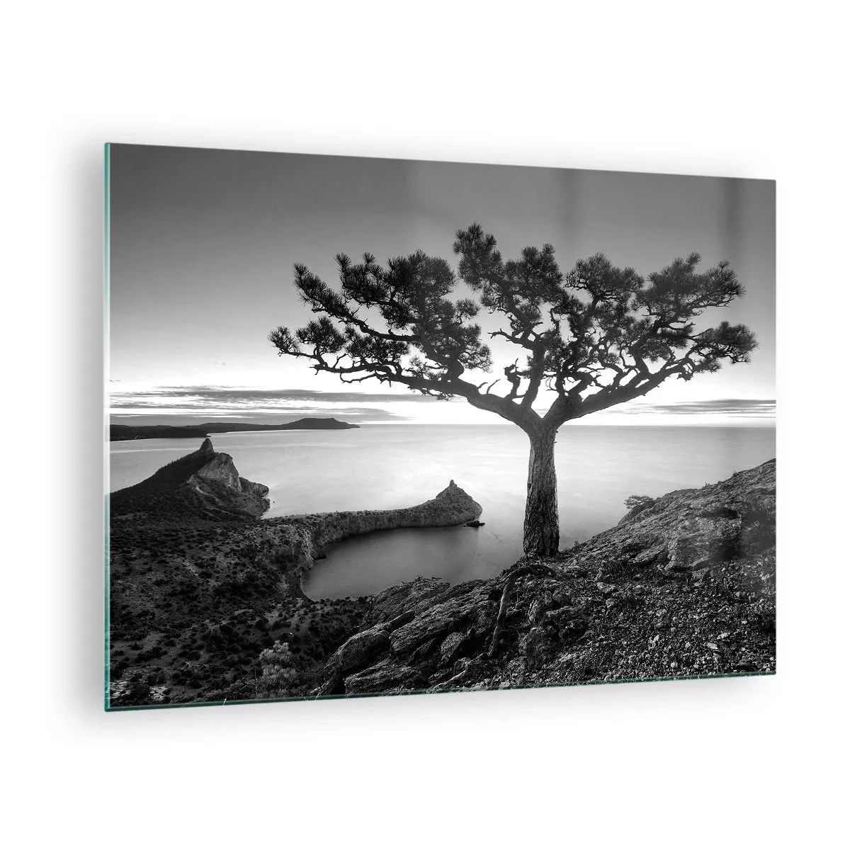 Cuadro sobre vidrio - Impresiones sobre Vidrio - Un árbol en un acantilado con vistas a la bahía. - 70x50cm - Calma hasta el horizonte - Decoración de pared moderna para salón y dormitorio ARTTOR