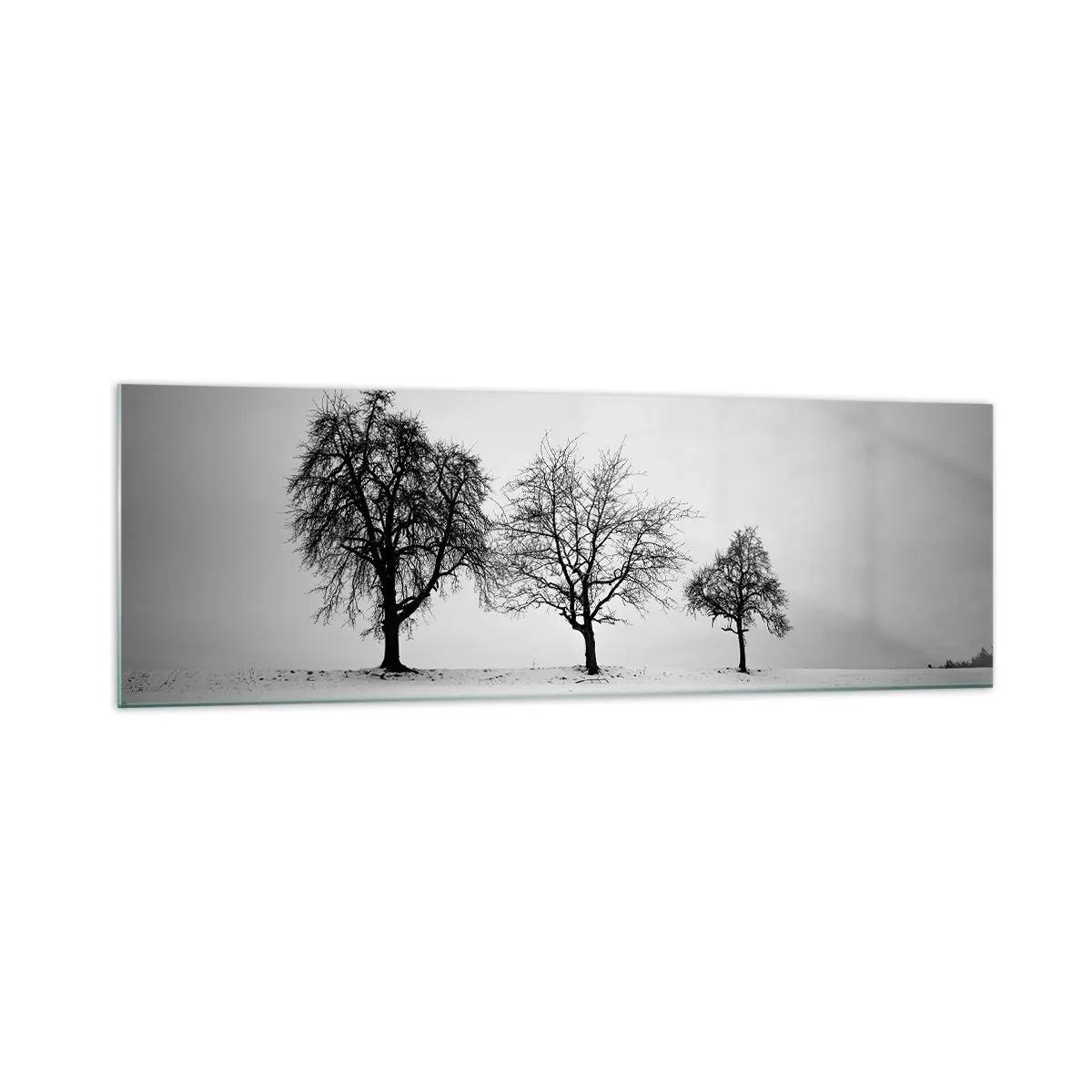 Cuadro sobre vidrio - Impresiones sobre Vidrio - Tres árboles en un campo nevado en estilo monocromático. - 160x50cm - ¿Con qué sueñan? - Decoración de pared moderna para salón y dormitorio ARTTOR
