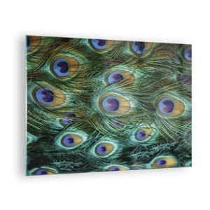 Cuadro sobre vidrio - Impresiones sobre Vidrio - Detalle de plumas de pavo real con ojos distintivos. - 70x50cm - Mirada de pavo real - Decoración de pared moderna para salón y dormitorio ARTTOR
