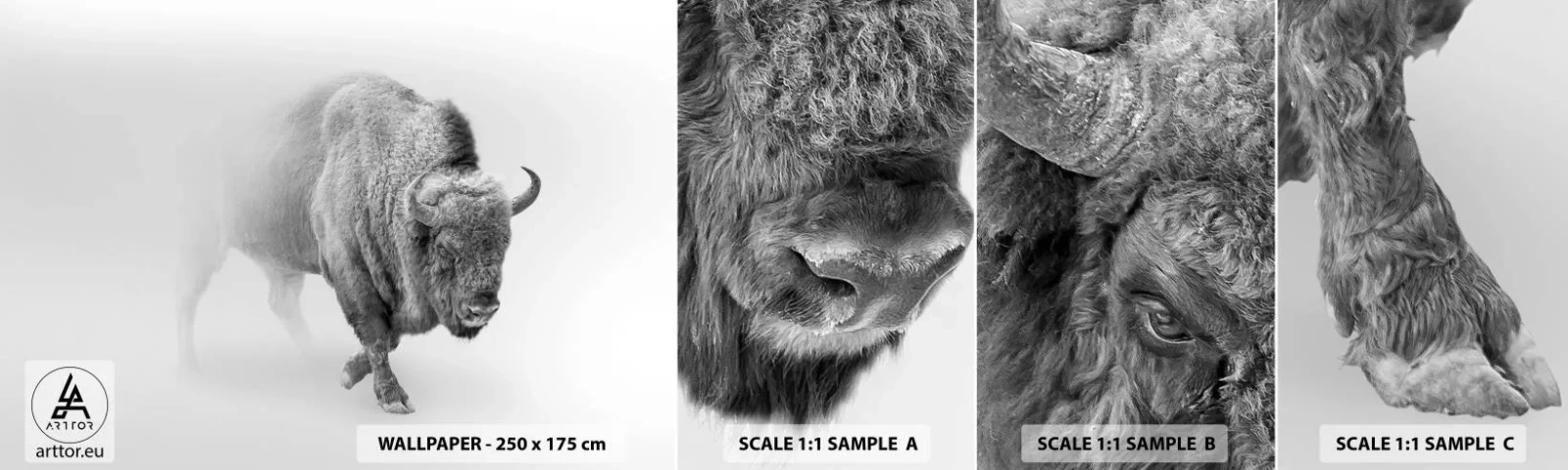 Muestra de fotomural autoadhesivo Deluxe Sticker - Rey de la pradera - sabio, animales, Bisonte - 100x30 cm