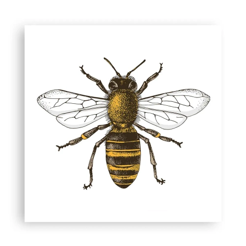 Póster - Bondad natural - 60x60 cm