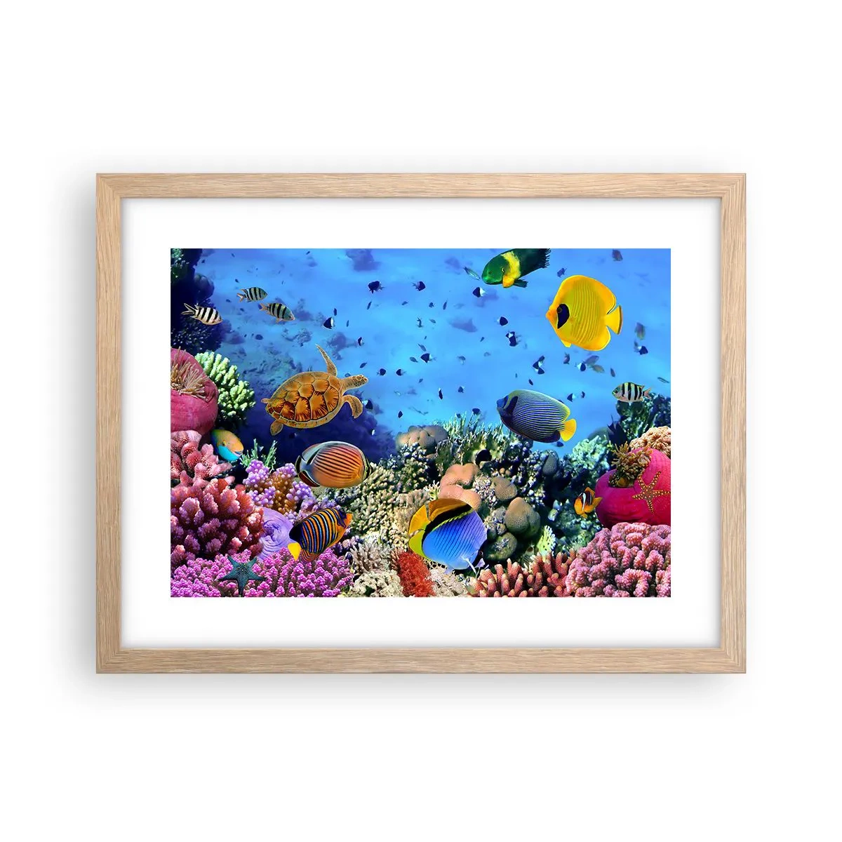 Póster en marco roble claro - Y qué sabemos de la vida... - 40x30 cm