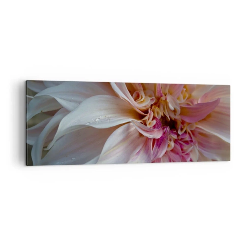 Cuadro sobre lienzo - Impresión de Imagen - Primer plano de delicados pétalos de flores rosas con gotas de agua. - 140x50cm - Frescura floreciente - Decoración de pared moderna para salón y dormitorio ARTTOR