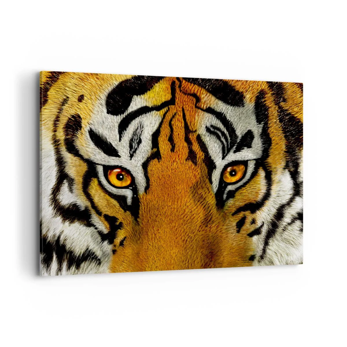 Cuadro sobre lienzo - Impresión de Imagen - Retrato en primer plano de un tigre con una mirada intensa. - 120x80cm - Amenazante y hermoso - Decoración de pared moderna para salón y dormitorio ARTTOR