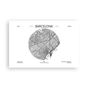 Póster - Anatomía de Barcelona - 91x61 cm