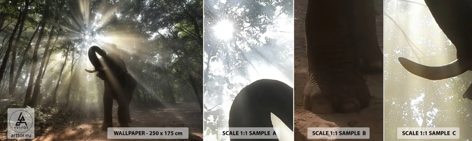 Muestra De Fotomural Standard Eco - Bajo una estrella de la suerte - Paisaje, Elefante, Selva - 100x30 cm