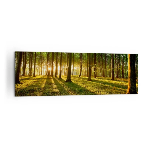 Cuadro sobre lienzo - Impresión de Imagen - El sol poniente en el bosque caducifolio - 160x50cm - Una fotografía de todos los manantiales - Decoración de pared moderna para salón y dormitorio ARTTOR
