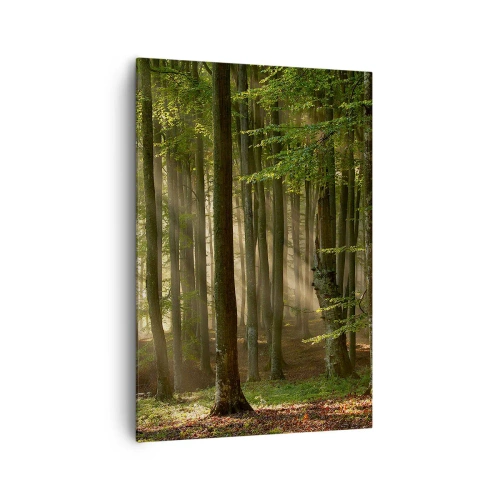 Cuadro sobre lienzo - Impresión de Imagen - Los rayos del sol penetran a través de los árboles en el bosque. - 70x100cm - Radiante en una mañana de primavera - Decoración de pared moderna para salón y dormitorio ARTTOR
