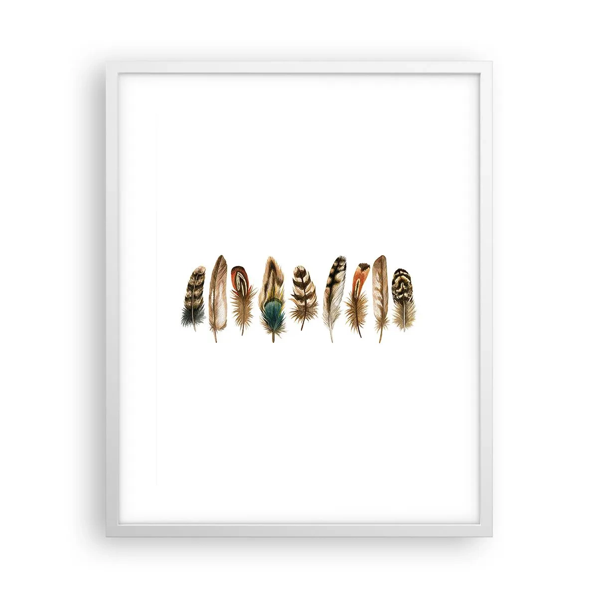 Póster en marco blanco - Estudio de plumas - 40x50 cm