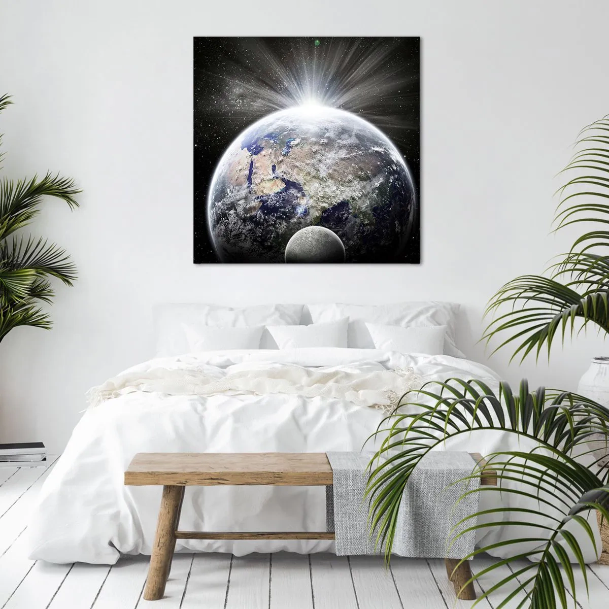 Cuadro sobre lienzo - Impresión de Imagen - En todo su esplendor - 50x50 cm