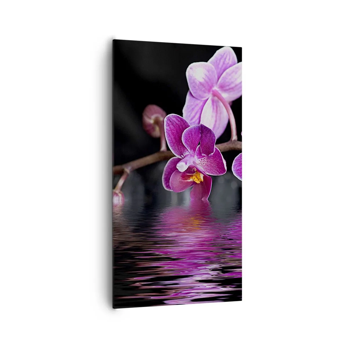 Cuadro sobre lienzo - Impresión de Imagen - Un reflejo lila de la belleza - 65x120 cm