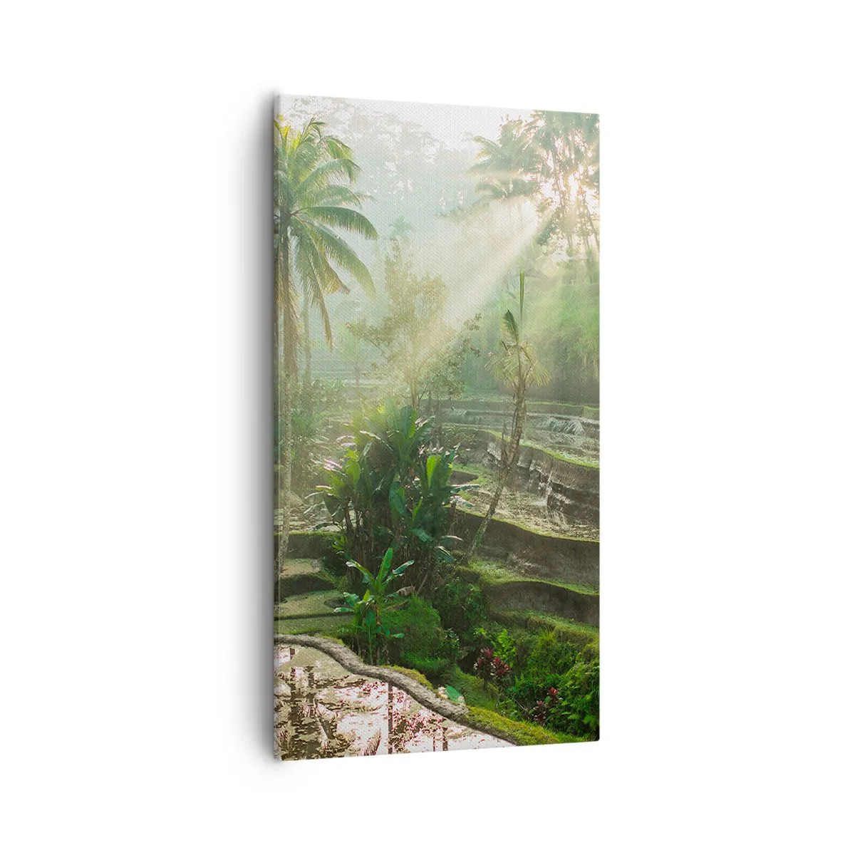 Cuadro sobre lienzo - Impresión de Imagen - Crecer bajo el sol - 55x100 cm