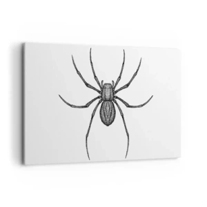Cuadro sobre lienzo - Impresión de Imagen - Detalle de una araña sobre un fondo blanco en estilo de dibujos animados. - 100x70cm - Precisión inquietante - Decoración de pared moderna para salón y dormitorio ARTTOR