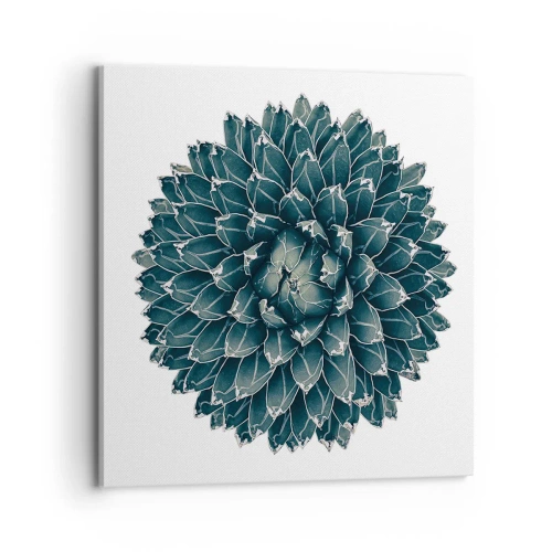 Cuadro sobre lienzo - Impresión de Imagen - Estrella del desierto - 70x70 cm