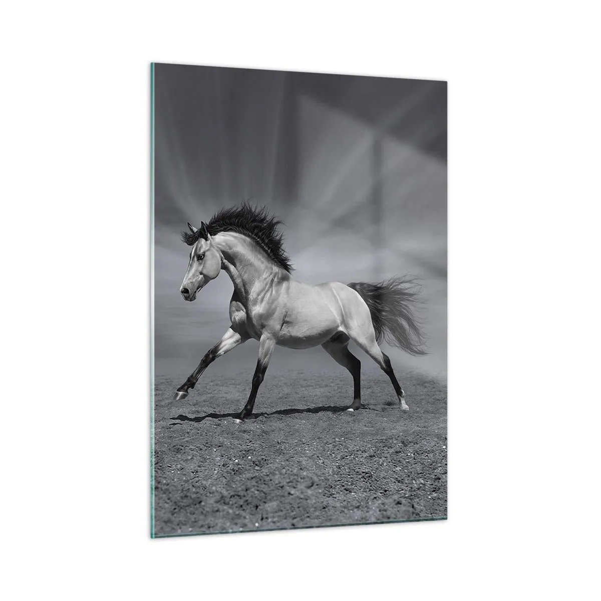 Cuadro sobre vidrio - Impresiones sobre Vidrio - Una fotografía en blanco y negro de un caballo galopando en un campo abierto. - 50x70cm - Nacido para deleitar - Decoración de pared moderna para salón y dormitorio ARTTOR