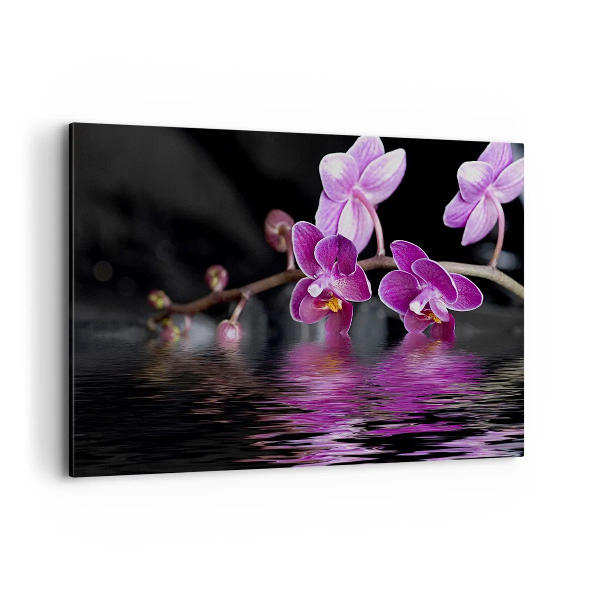 Cuadro sobre lienzo - Impresión de Imagen - Orquídeas moradas sobre aguas tranquilas contra un fondo negro. - 120x80cm - Un reflejo lila de la belleza - Decoración de pared moderna para salón y dormitorio ARTTOR