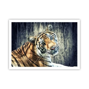 Póster - Un tigre recostado contra una pared de textura rugosa. - 100x70cm - Retrato en corrientes de luz - Decoración de pared moderna para salón y dormitorio ARTTOR