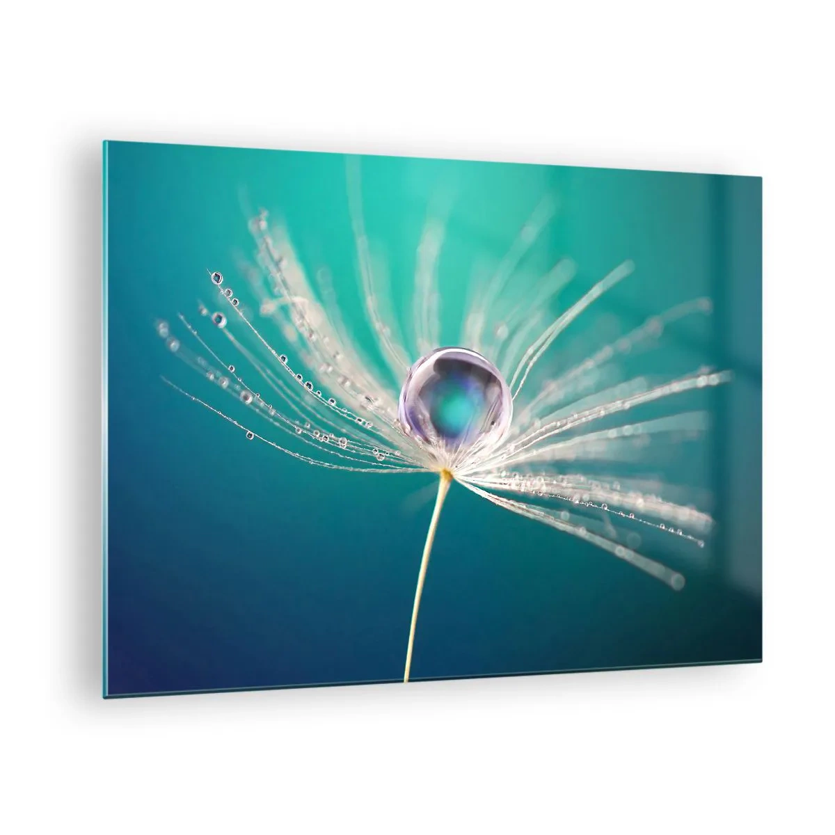 Cuadro sobre vidrio - Impresiones sobre Vidrio - Fotografía macro de una semilla de diente de león con una gota de rocío sobre un fondo turquesa. - 70x50cm - Momento místico - Decoración de pared moderna para salón y dormitorio ARTTOR