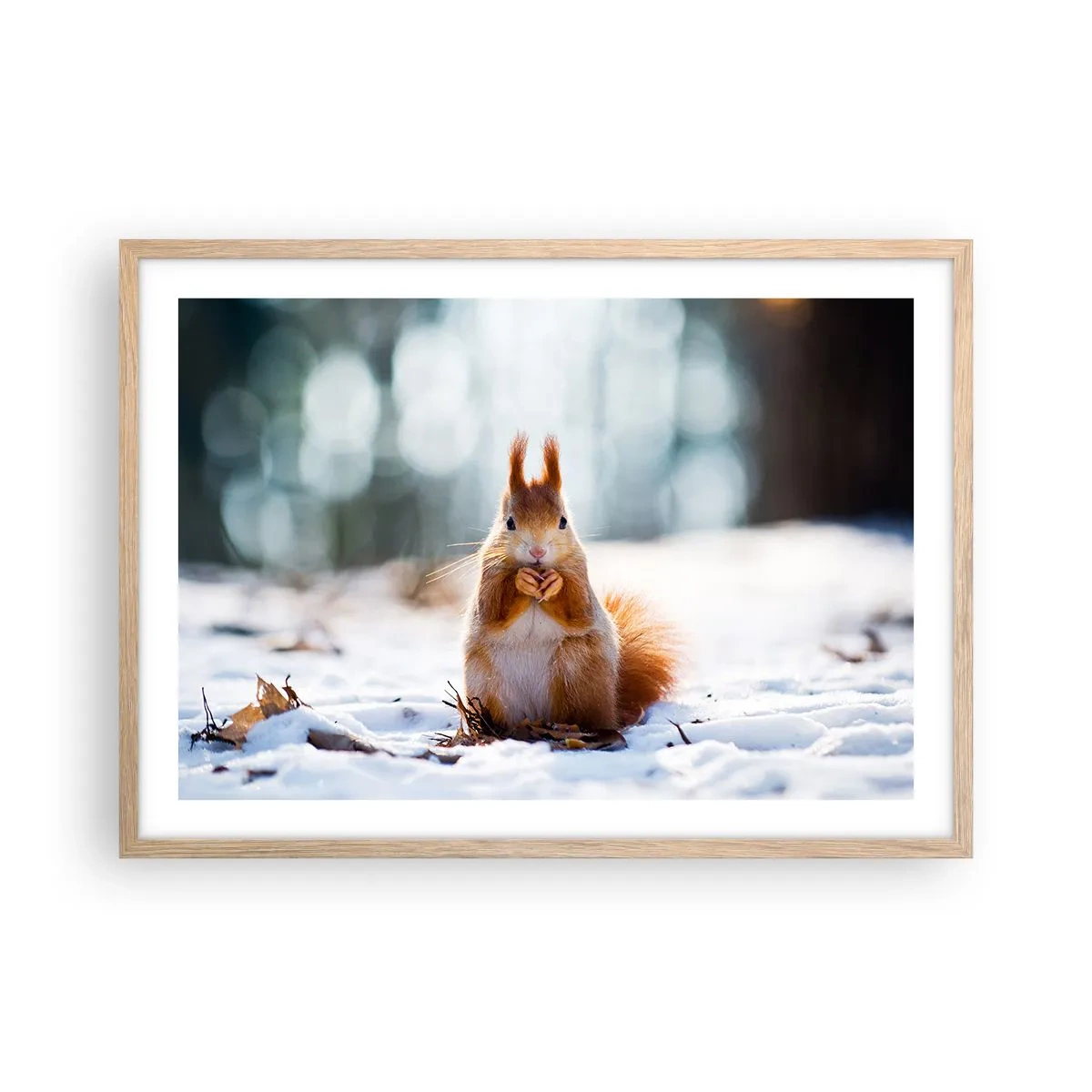 Póster en marco roble claro - ¿Qué estás mirando? - 70x50 cm