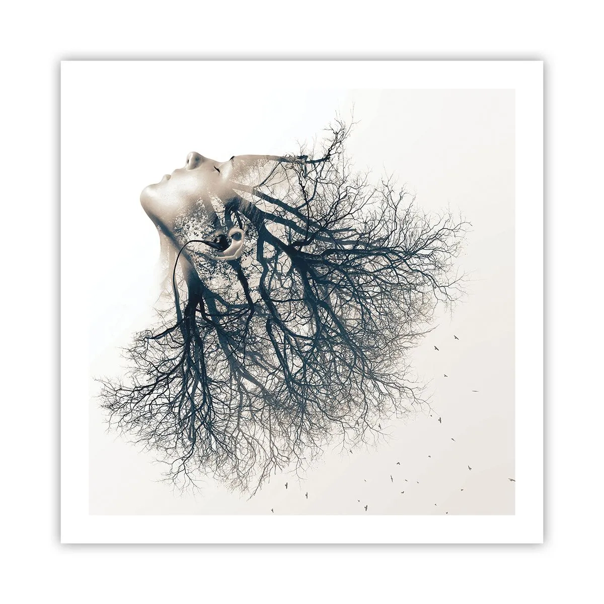 Póster - Escuchando el susurro de un árbol - 60x60 cm