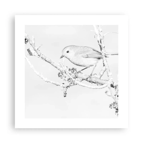 Póster - Mañana de invierno - 40x40 cm