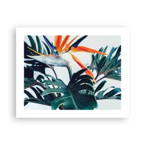 Póster - La jaula del pájaro colorido - 50x40 cm