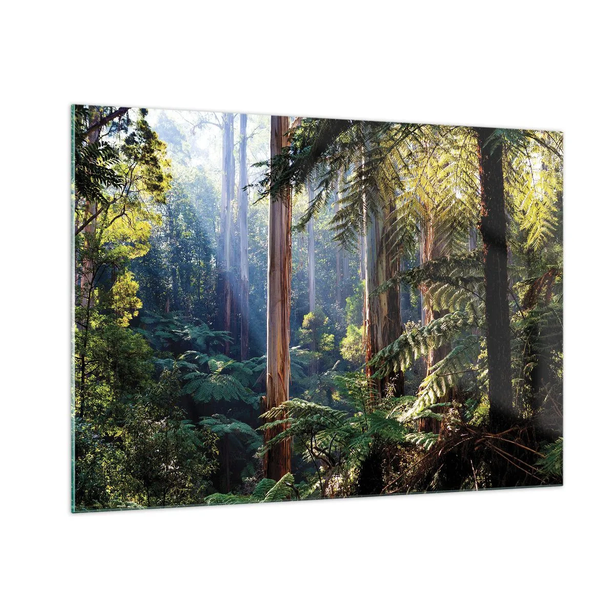Cuadro sobre vidrio - Impresiones sobre Vidrio - Bosque tropical verde con rayos de sol - 100x70cm - Un cuento de hadas del bosque - Decoración de pared moderna para salón y dormitorio ARTTOR