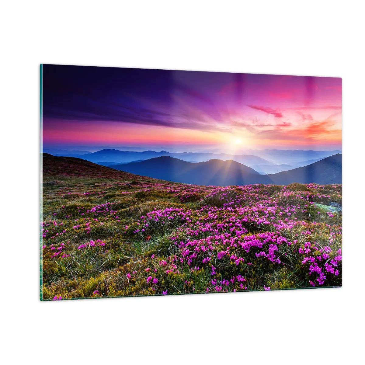Cuadro sobre vidrio - Impresiones sobre Vidrio - Paisaje de montaña con brezal al atardecer - 120x80cm - Dulce aroma a frescura - Decoración de pared moderna para salón y dormitorio ARTTOR