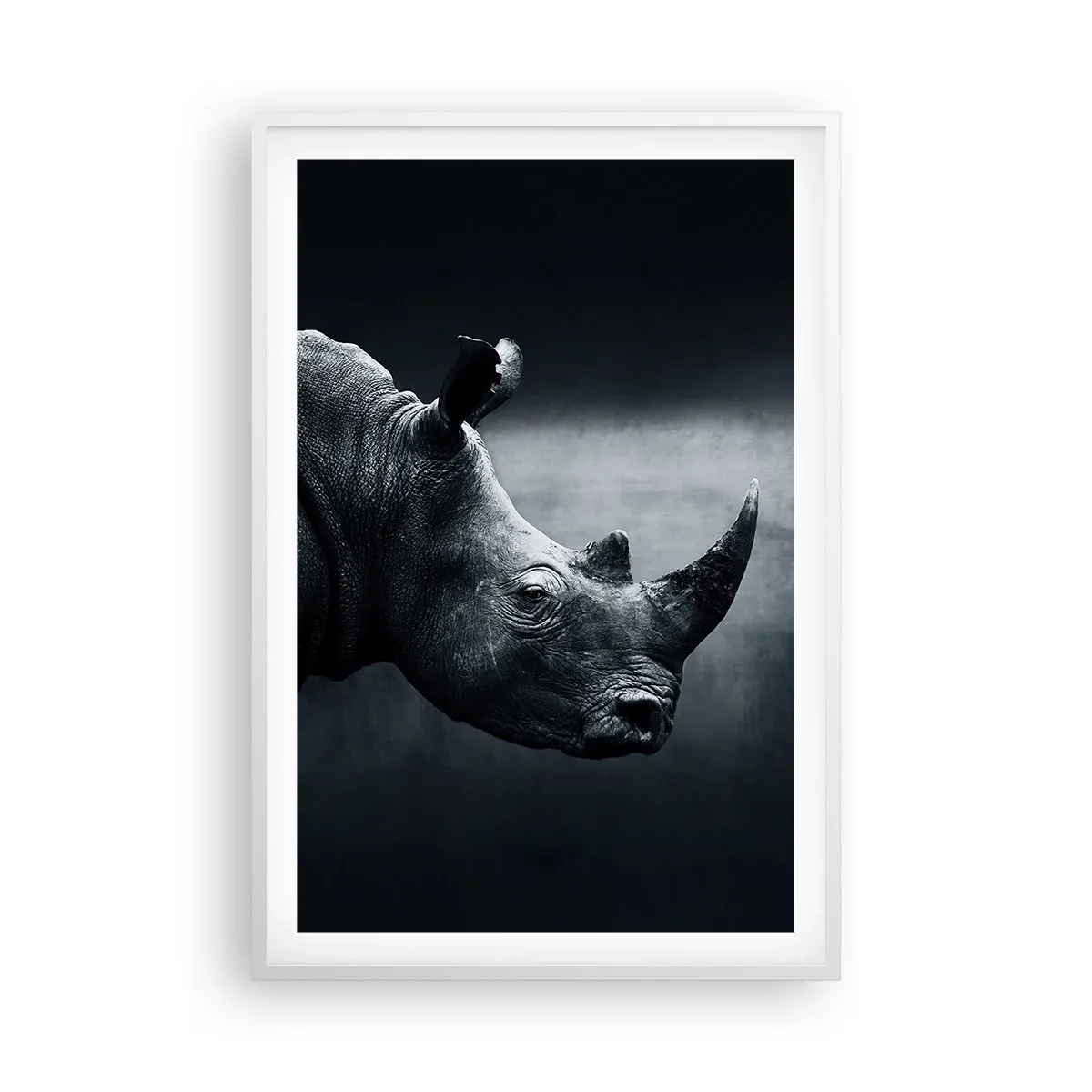 Póster en marco blanco - Perfil derecho - 61x91 cm