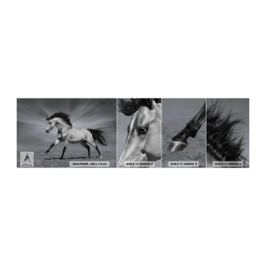 Muestra De Fotomural Standard Eco - Nacido para deleitar - animales, Caballo, Naturaleza - 100x30 cm