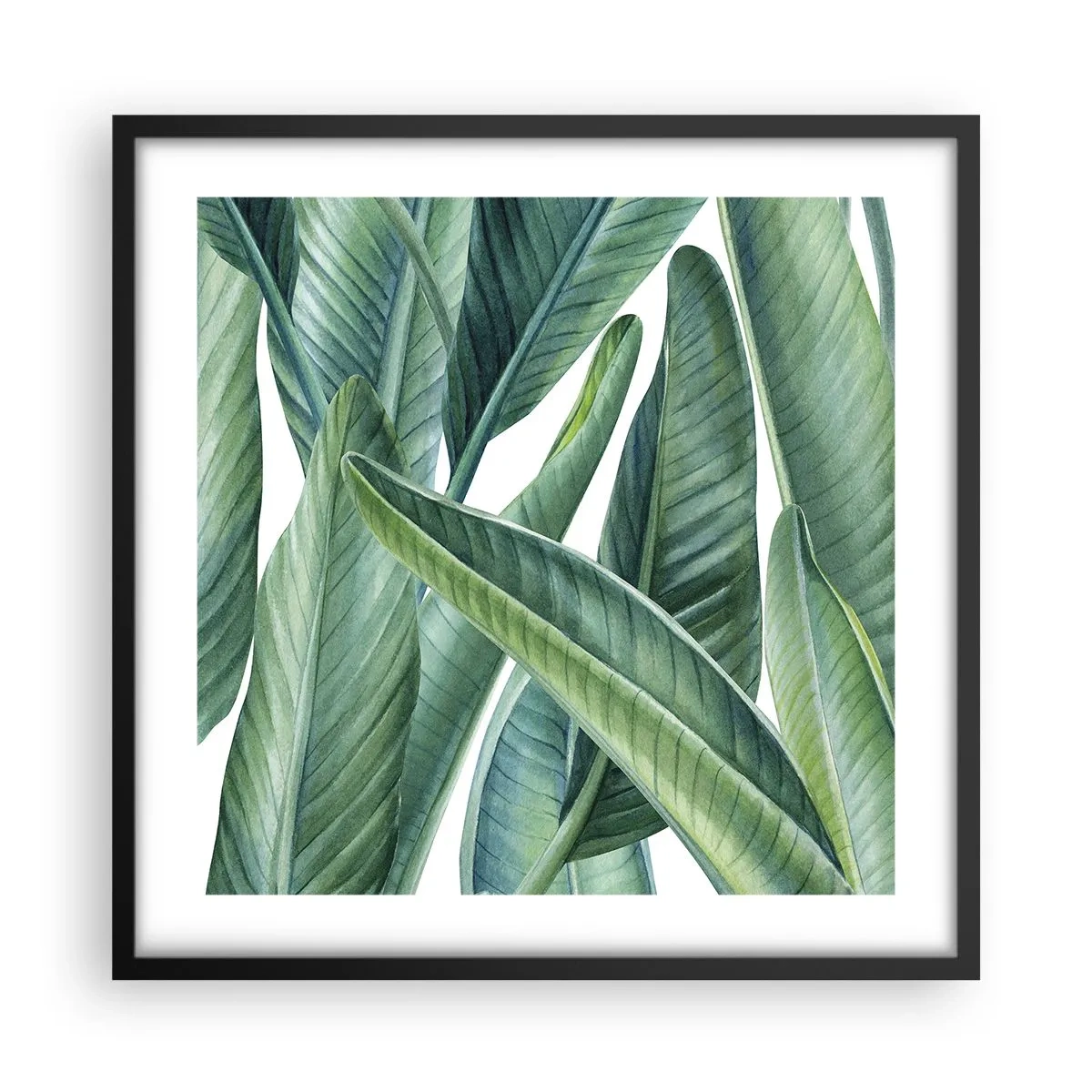 Póster en marco negro - Vegetación en estado puro - 50x50 cm