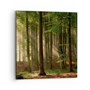 Cuadro sobre lienzo - Impresión de Imagen - Radiante en una mañana de primavera - 70x70 cm
