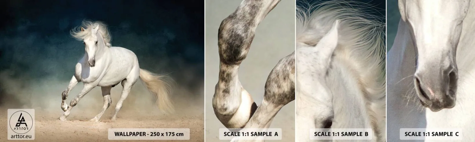 Muestra De Fotomural Standard Eco - Libertad en estado puro - Caballo, Animal, Blanco - 100x30 cm