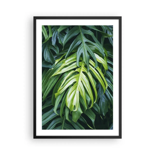 Póster en marco negro - Primer plano de hojas verdes de monstera - 50x70cm - Sumérjase en la frescura - Decoración de pared moderna para salón y dormitorio ARTTOR