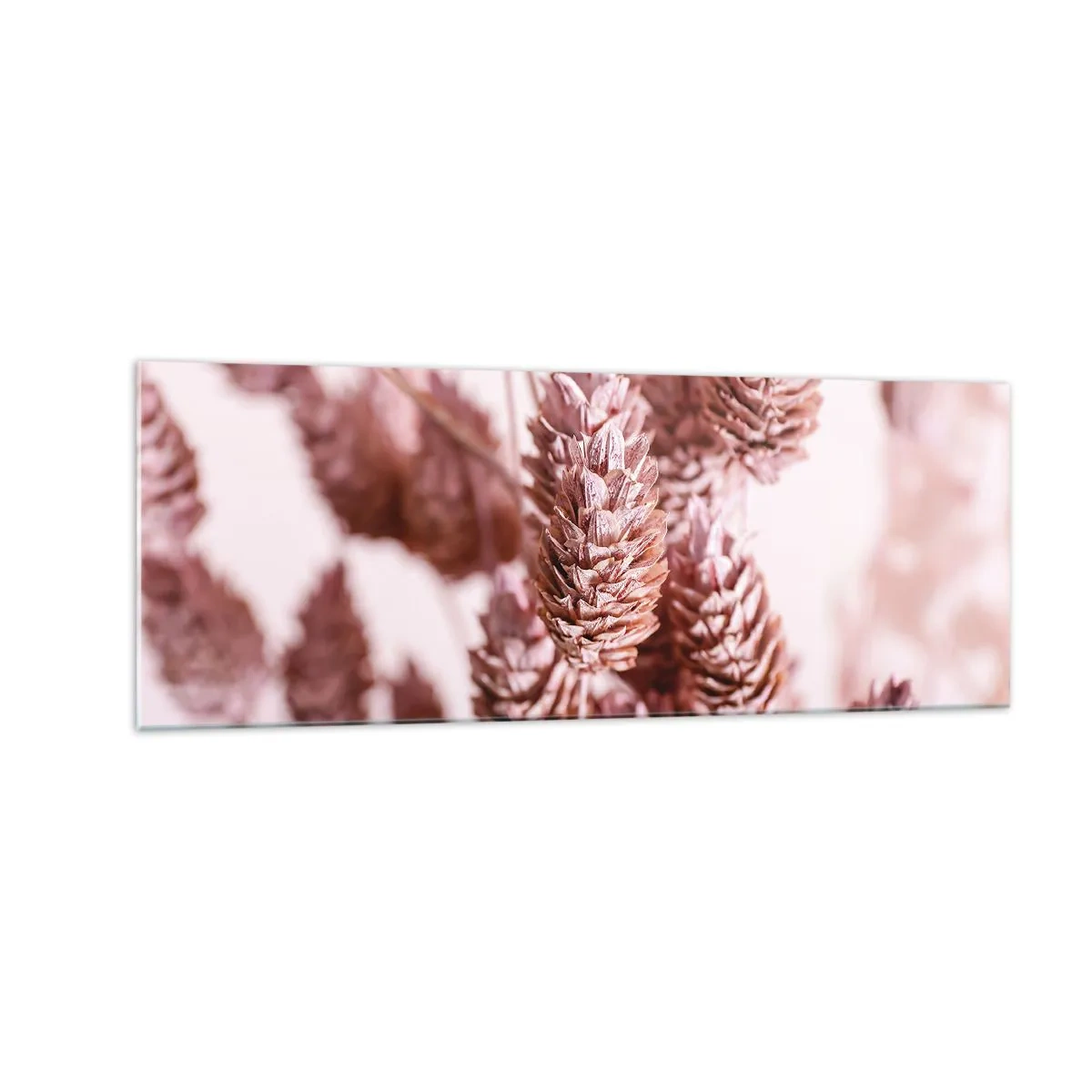Cuadro sobre vidrio - Impresiones sobre Vidrio - Un primer plano de las delicadas espigas rosadas de las hierbas ornamentales. - 140x50cm - Aparentemente discreto - Decoración de pared moderna para salón y dormitorio ARTTOR
