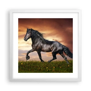 Póster en marco blanco - Príncipe negro - 40x40 cm