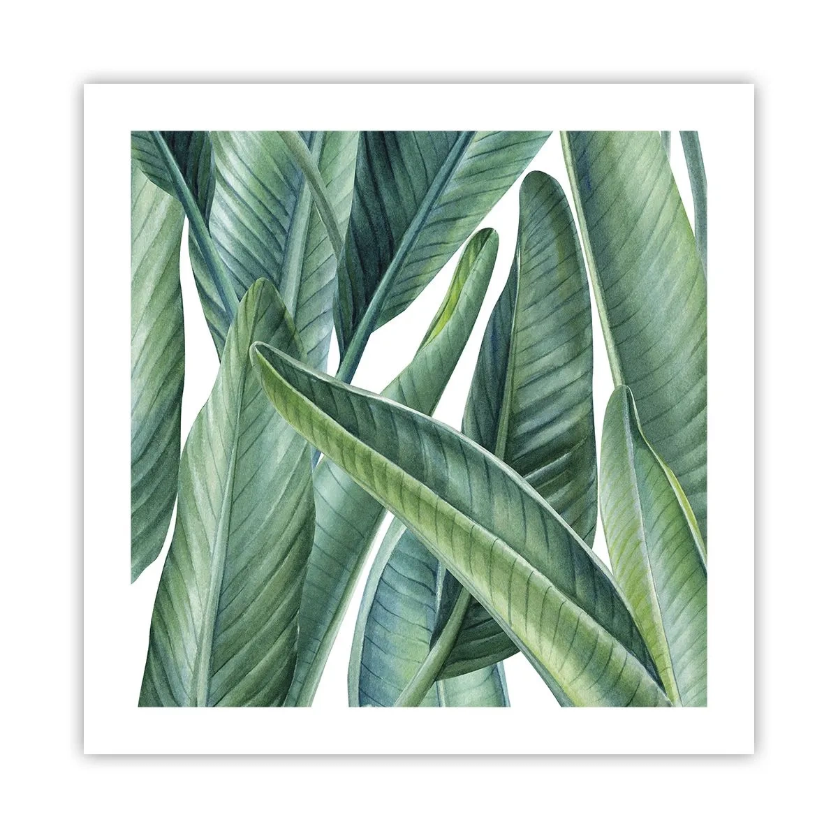 Póster - Vegetación en estado puro - 50x50 cm