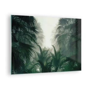 Cuadro sobre vidrio - Impresiones sobre Vidrio - Selva tropical envuelta en niebla - 70x50cm - Misterio tropical - Decoración de pared moderna para salón y dormitorio ARTTOR