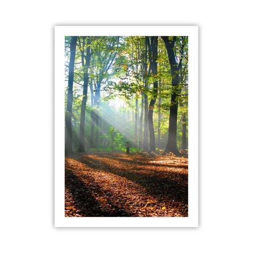 Póster - Rayos de sol en el bosque otoñal - 50x70cm - Resplandores y sombras - Decoración de pared moderna para salón y dormitorio ARTTOR