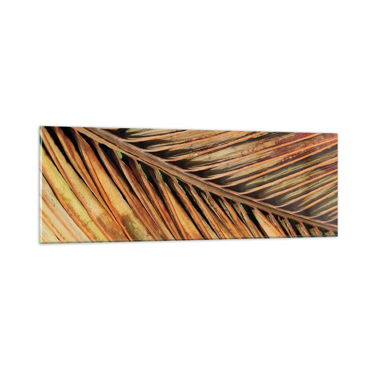 Cuadro sobre vidrio - Impresiones sobre Vidrio - Oro de coco - 90x30 cm