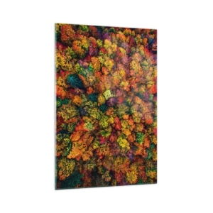 Cuadro sobre vidrio - Impresiones sobre Vidrio - Copas de árboles coloridas en la paleta otoñal - 70x100cm - Un ramo de árboles otoñales - Decoración de pared moderna para salón y dormitorio ARTTOR