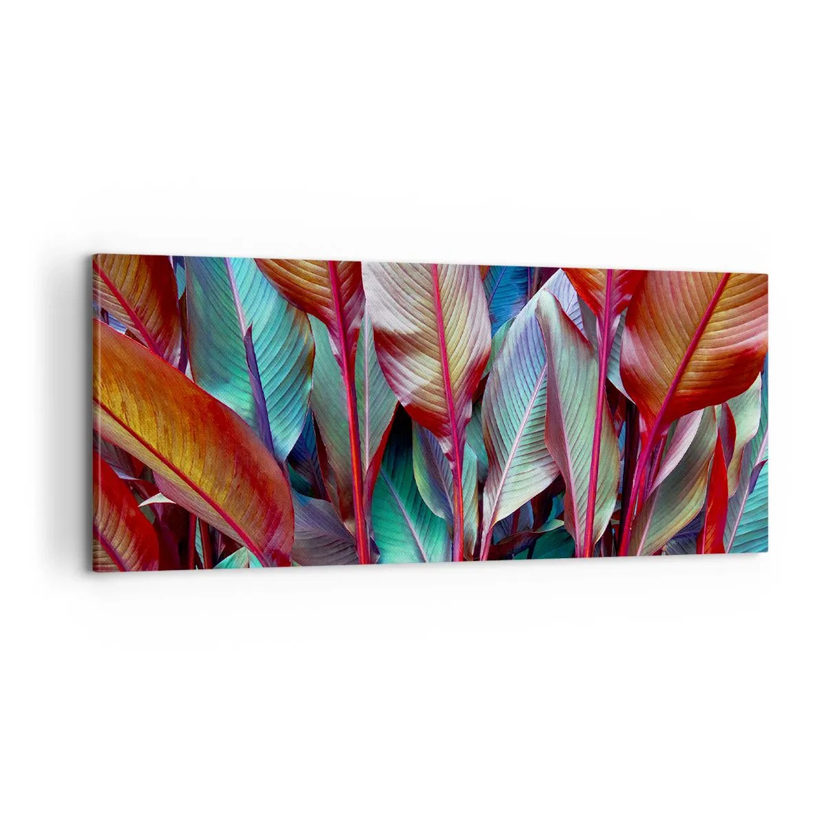 Cuadro sobre lienzo - Impresión de Imagen - Un matorral de colores - 100x40 cm